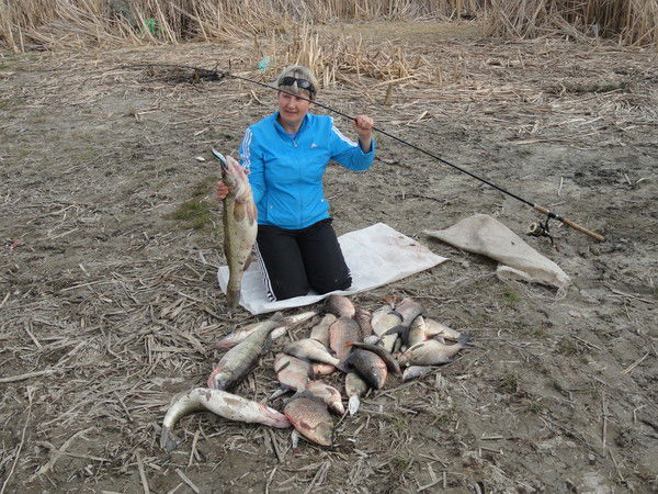 Светлана Переходова