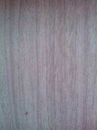 Сергей Яцун