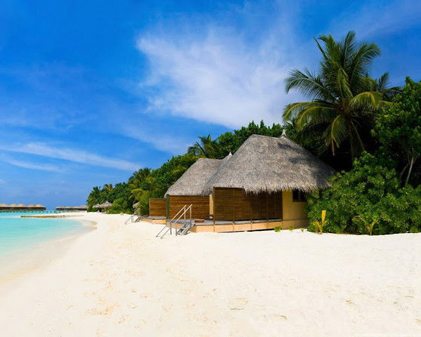 Виктория Пак