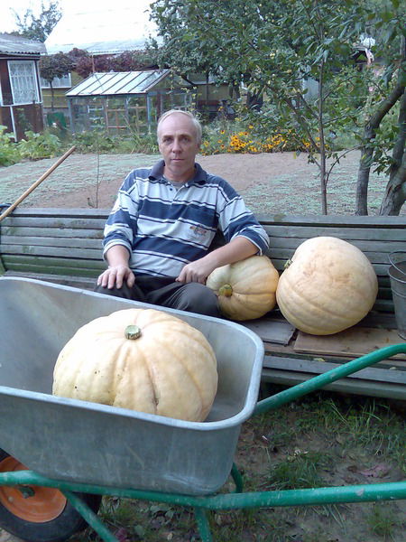 Владимир Хренов