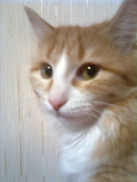 Марина Н.ф. (Кальмова)