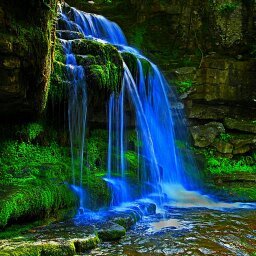 Игорь Панков