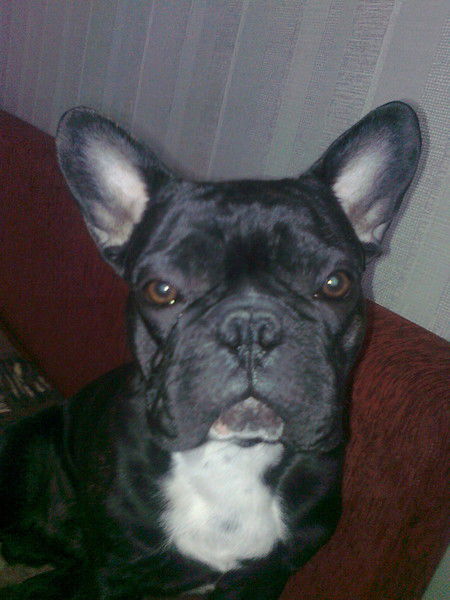 Рустам Дианов