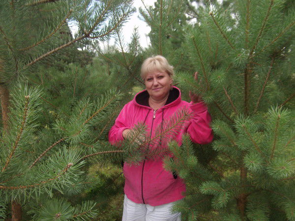 Елена Соколова