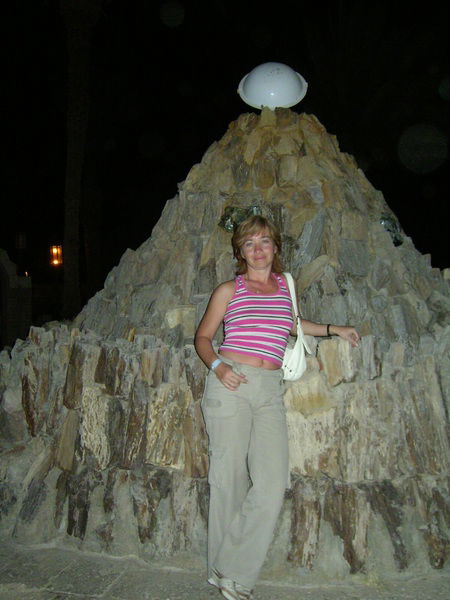 Лариса Веденская