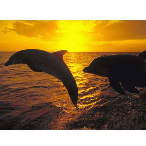 Надежда Бакулева