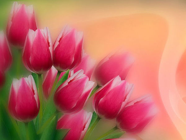 Яна Александровна Маленьких