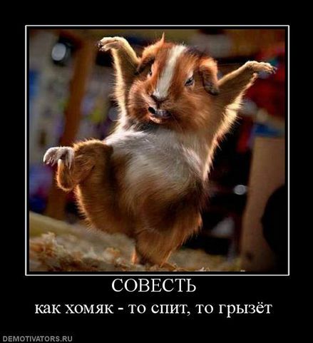 Наталья Пунтус