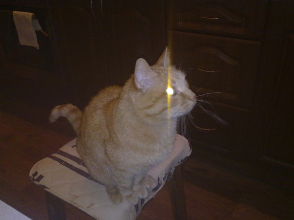 Сергей Золотов