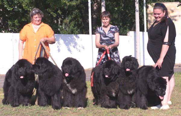 Ирина Панюшкина