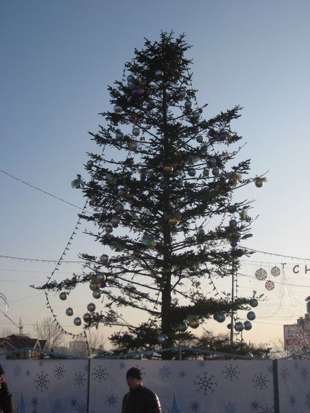 Александр Александров