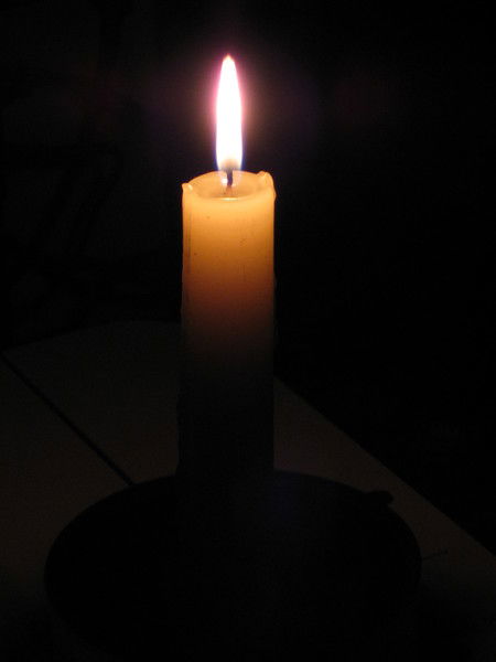 Пирамидон Иваныч Голдфиш