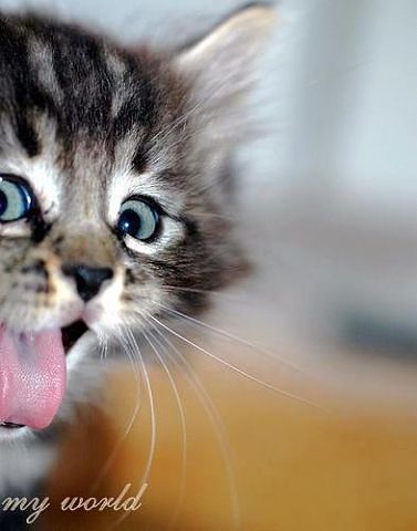 Ирина Валерьевна