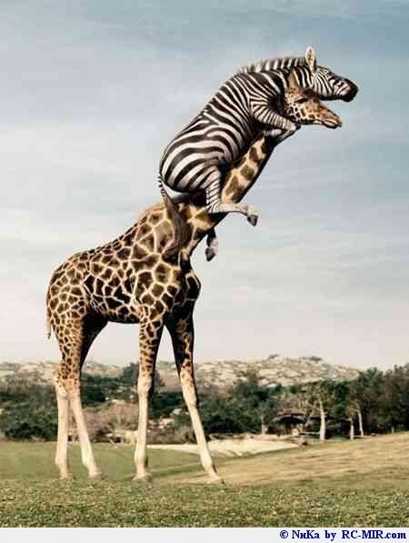 Мухит Турсынбеков