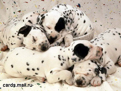 Надежда Коломажина