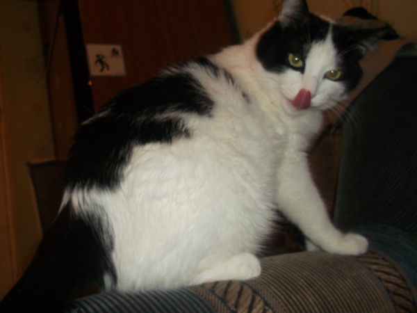 Дурбэцало Чупачупс