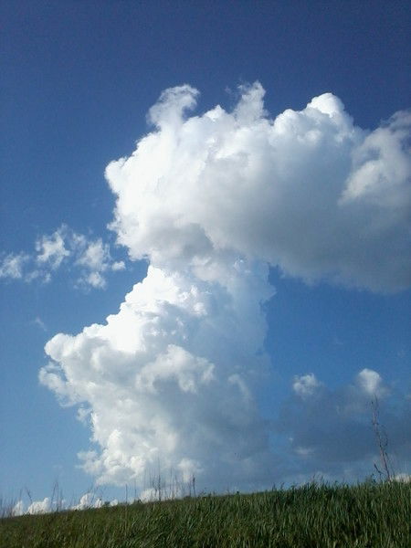 Анатолй Хмара