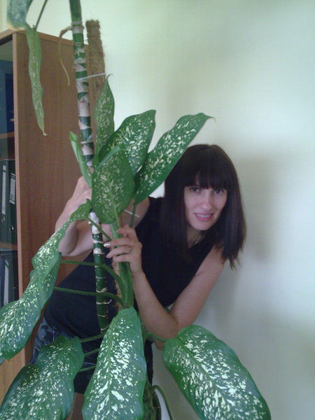 Светлана Кондрашова