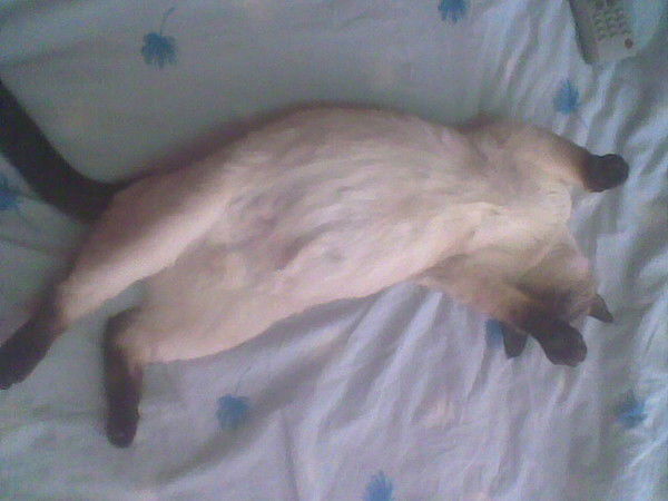 Акатов Олег