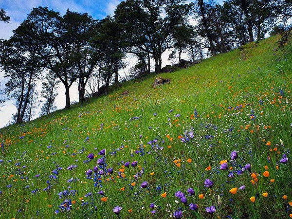 Гульназ Мингалимова