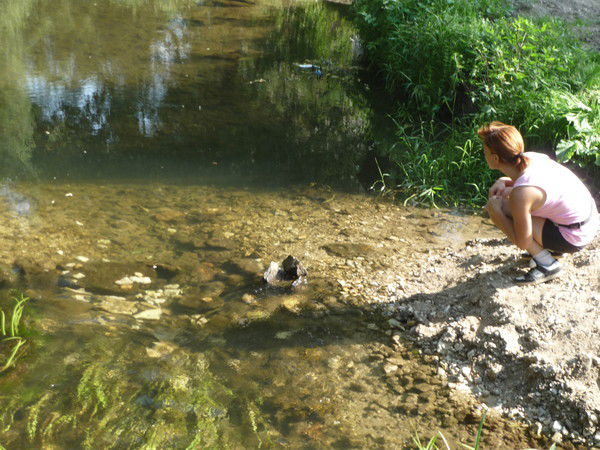 Светлана Каралина