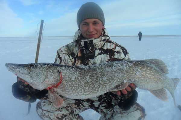 Виталий Борко