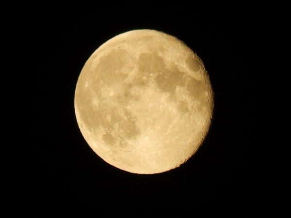 Елена Крупнова