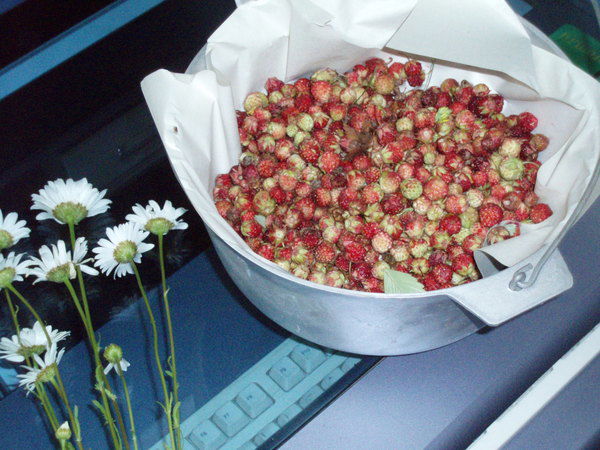 Людмила Бобыленко