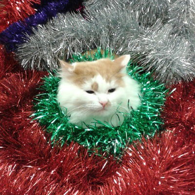 Мария Кремлёва