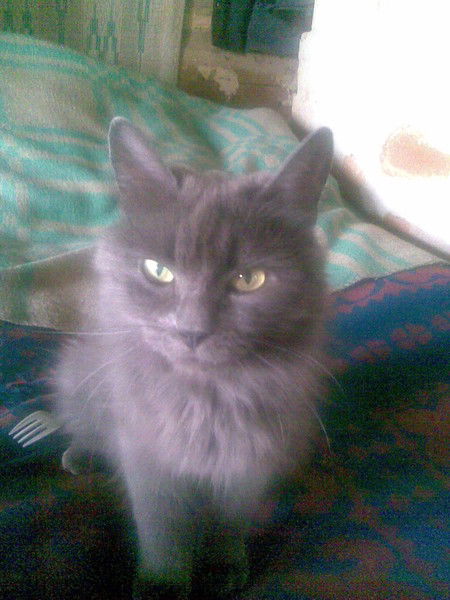 Мария Машустик