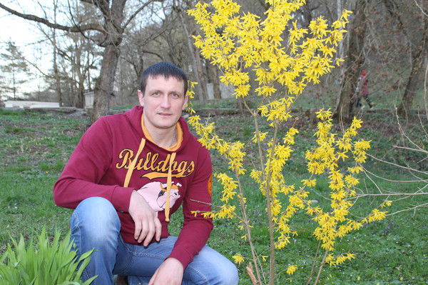 Сергей Куриленко