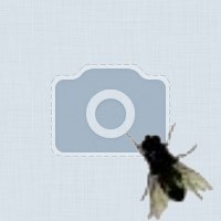 Геннадий Холостяков