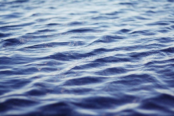 Даша Новикова