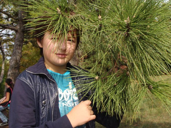 Дмитрий Петренко