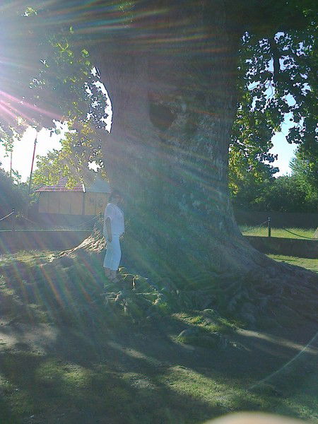 Лариса Шокарева