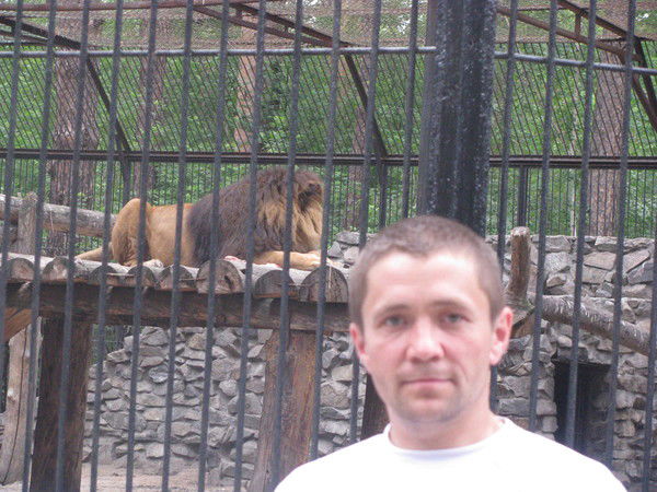 Алексей Шерстобитов