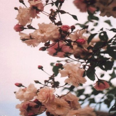 Тоня Павлова