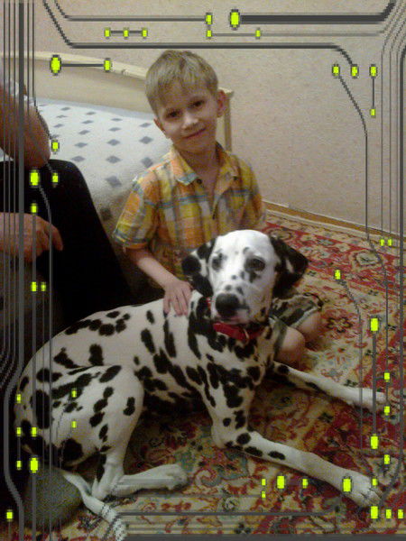 Витя Сайфудинов