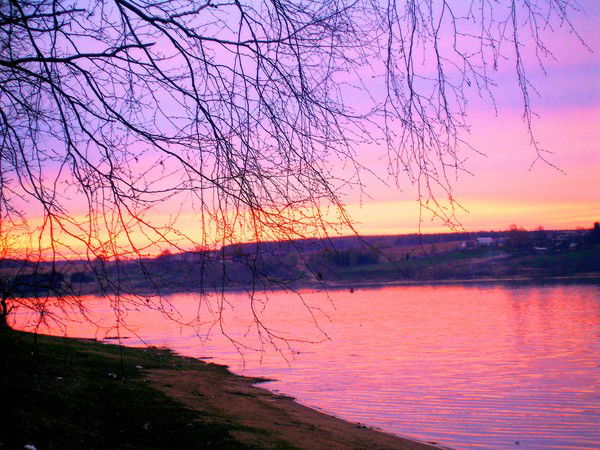Наталья Сеничкина