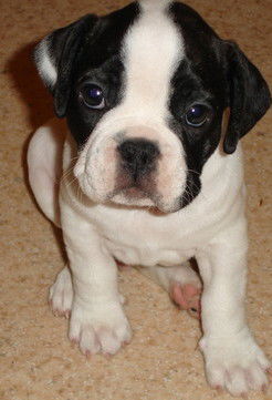 Наталья Дульская