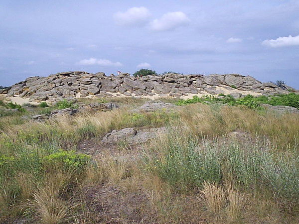 Анатолий Ткаченко