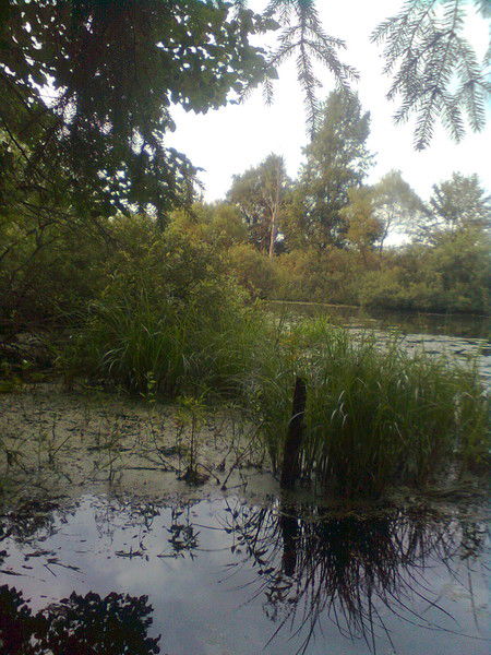 Светлана Прохорчук