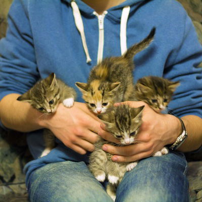 Александр Штеркель