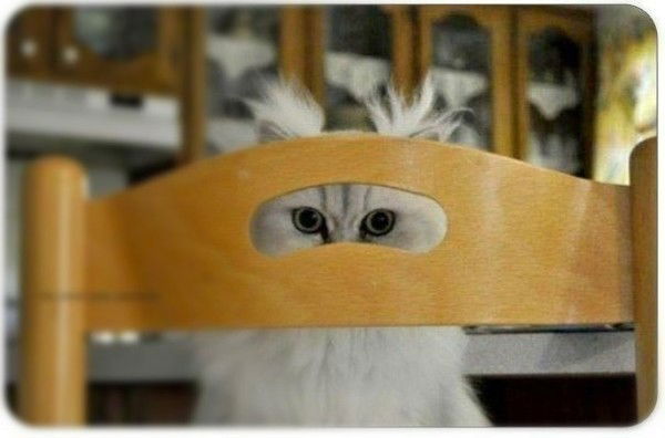 Аля Муравская