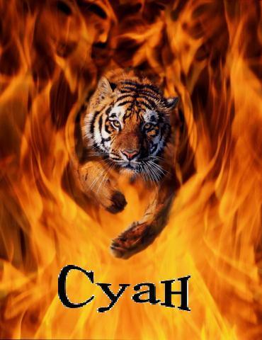 Даулет Сатыбалдиев