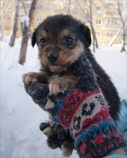 Вера Лямкина