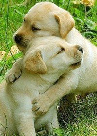 Настя Котокова