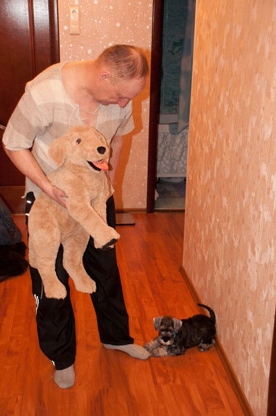 Вадим Рачинин