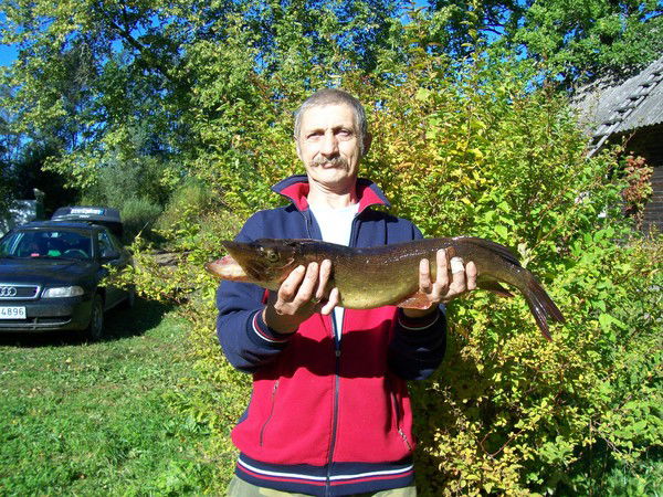 Владимир Владимиров