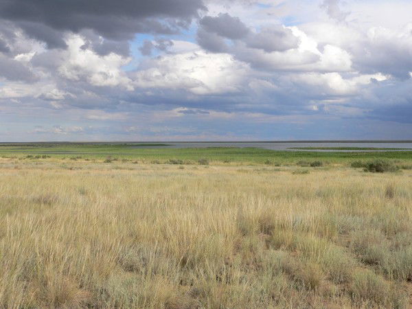 Бахыт Амирхан